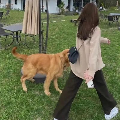 齐姆与友